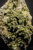 07917 - Slender Grass Green Epidote Crystals on Matrix Imilchil Mine Morocco