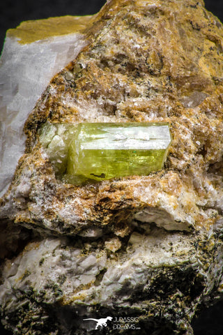07618 -  Lustrous Yellow Green Apatite Crystal on Calcite Matrix - Imilchil (Morocco)