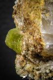 07618 -  Lustrous Yellow Green Apatite Crystal on Calcite Matrix - Imilchil (Morocco)