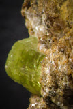 07618 -  Lustrous Yellow Green Apatite Crystal on Calcite Matrix - Imilchil (Morocco)