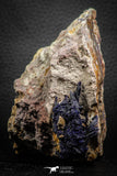07619 - Beautiful Deep Blue Azurite Crystals on Carbonate Matrix - Kerrouchen (Morocco)