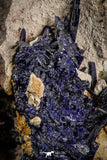 07619 - Beautiful Deep Blue Azurite Crystals on Carbonate Matrix - Kerrouchen (Morocco)