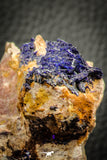 07619 - Beautiful Deep Blue Azurite Crystals on Carbonate Matrix - Kerrouchen (Morocco)
