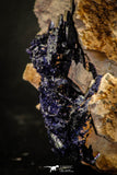 07619 - Beautiful Deep Blue Azurite Crystals on Carbonate Matrix - Kerrouchen (Morocco)