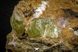 07621 -  Lustrous Yellow Green Apatite Crystals on Brecciated Matrix - Imilchil (Morocco)