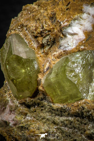 07621 -  Lustrous Yellow Green Apatite Crystals on Brecciated Matrix - Imilchil (Morocco)