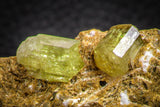07622 -  Lustrous Yellow Green Apatite Crystals on Brecciated Matrix - Imilchil (Morocco)