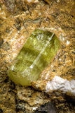 07622 -  Lustrous Yellow Green Apatite Crystals on Brecciated Matrix - Imilchil (Morocco)