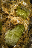 07622 -  Lustrous Yellow Green Apatite Crystals on Brecciated Matrix - Imilchil (Morocco)