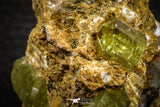 07622 -  Lustrous Yellow Green Apatite Crystals on Brecciated Matrix - Imilchil (Morocco)