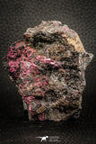 07626 -  Nice Pink Erythrite Crystals on Matrix - Bou Azzer Mine (South Morocco)