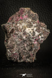 07626 -  Nice Pink Erythrite Crystals on Matrix - Bou Azzer Mine (South Morocco)