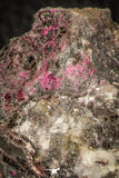 07626 -  Nice Pink Erythrite Crystals on Matrix - Bou Azzer Mine (South Morocco)