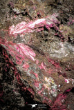 07626 -  Nice Pink Erythrite Crystals on Matrix - Bou Azzer Mine (South Morocco)