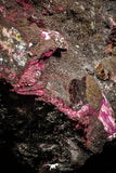 07626 -  Nice Pink Erythrite Crystals on Matrix - Bou Azzer Mine (South Morocco)
