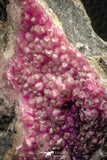 07627 -  Pink Cobaltoan Calcite Crystals on Matrix - Bou Azzer Mine (South Morocco)