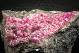 07627 -  Pink Cobaltoan Calcite Crystals on Matrix - Bou Azzer Mine (South Morocco)