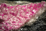 07627 -  Pink Cobaltoan Calcite Crystals on Matrix - Bou Azzer Mine (South Morocco)