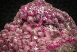 07627 -  Pink Cobaltoan Calcite Crystals on Matrix - Bou Azzer Mine (South Morocco)