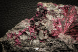 07628 -  Nice Pink Erythrite Crystals with Quartz - Bou Azzer Mine (South Morocco)