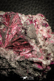 07628 -  Nice Pink Erythrite Crystals with Quartz - Bou Azzer Mine (South Morocco)