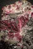 07628 -  Nice Pink Erythrite Crystals with Quartz - Bou Azzer Mine (South Morocco)