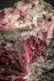 07628 -  Nice Pink Erythrite Crystals with Quartz - Bou Azzer Mine (South Morocco)