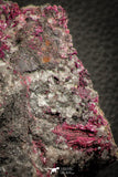 07628 -  Nice Pink Erythrite Crystals with Quartz - Bou Azzer Mine (South Morocco)