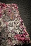07628 -  Nice Pink Erythrite Crystals with Quartz - Bou Azzer Mine (South Morocco)