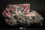 07628 -  Nice Pink Erythrite Crystals with Quartz - Bou Azzer Mine (South Morocco)