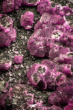 07632 -  Pink Cobaltoan Calcite Crystals on Matrix - Bou Azzer Mine (South Morocco)