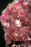 07633 -  Pink Cobaltoan Calcite Crystals on Matrix - Bou Azzer Mine (South Morocco)