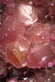 07633 -  Pink Cobaltoan Calcite Crystals on Matrix - Bou Azzer Mine (South Morocco)