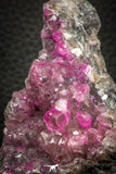 07634 -  Pink Cobaltoan Calcite Crystals on Matrix - Bou Azzer Mine (South Morocco)