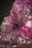 07634 -  Pink Cobaltoan Calcite Crystals on Matrix - Bou Azzer Mine (South Morocco)