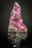 07634 -  Pink Cobaltoan Calcite Crystals on Matrix - Bou Azzer Mine (South Morocco)