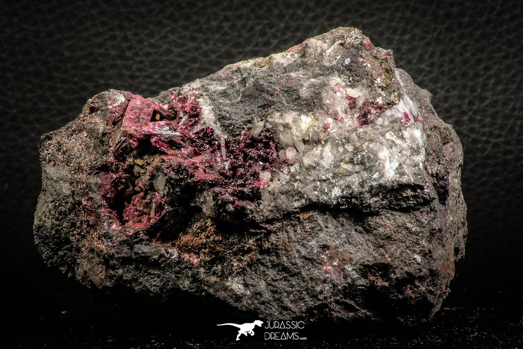 07636 -  Nice Pink Erythrite Crystals with Quartz - Bou Azzer Mine (South Morocco)
