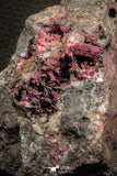 07636 -  Nice Pink Erythrite Crystals with Quartz - Bou Azzer Mine (South Morocco)