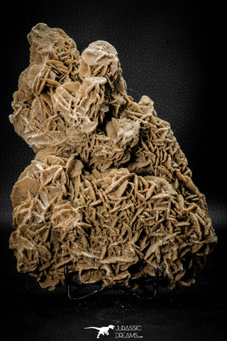 07941 - Top Beautiful 7.76 Inch Desert Rose (Selenite) - Sahara Desert