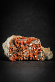 88134 -  Beautiful Red Vanadinite Crystals on Natural Manganese-Iron Oxide Matrix from Morocco
