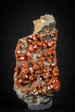 88134 -  Beautiful Red Vanadinite Crystals on Natural Manganese-Iron Oxide Matrix from Morocco