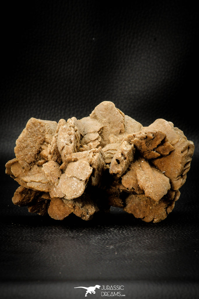 07942 - Beautiful 5.12 Inch Desert Rose (Selenite) - Sahara Desert