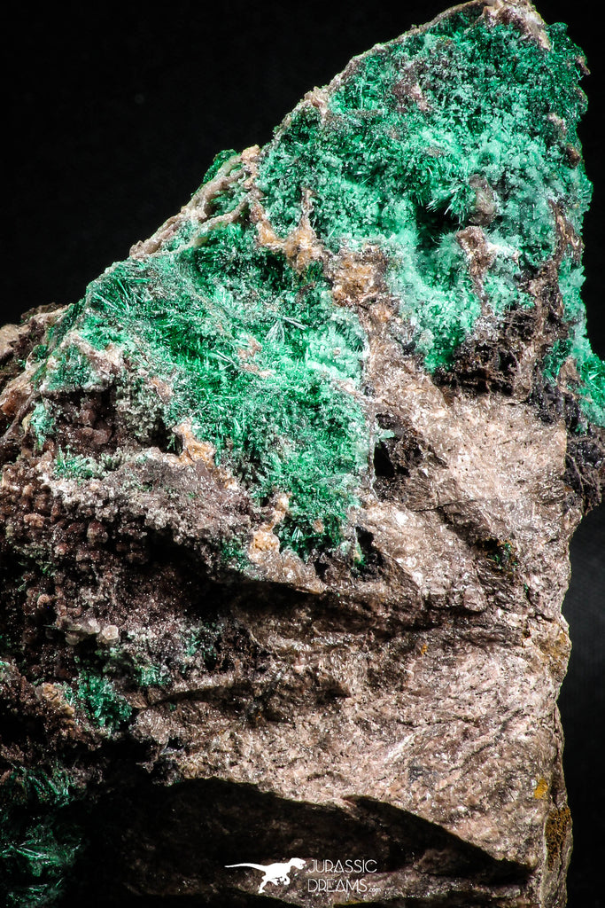 04991 -  Well Crystallized Acicular Brochantite with Quartz from South Morocco