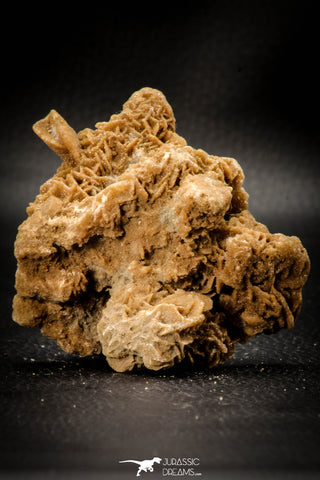 07944 - Top Beautiful 3.36 Inch Desert Rose (Selenite) - Sahara Desert