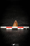08108 - Beautiful 0.59 Inch Hamadasuchus rebouli Crocodile Tooth Cretaceous KemKem