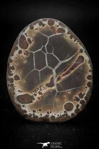 05535 -  Beautiful Cut and Polished 2.14 Inch Septarian Nodule from South Morocco