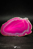 05075 -  Extremely Beautiful 2.91 Inch Brazilian Agate Slice (Chalcedony Geode Section)