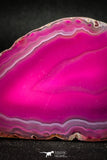 05075 -  Extremely Beautiful 2.91 Inch Brazilian Agate Slice (Chalcedony Geode Section)