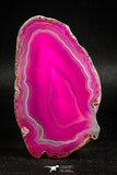 05075 -  Extremely Beautiful 2.91 Inch Brazilian Agate Slice (Chalcedony Geode Section)