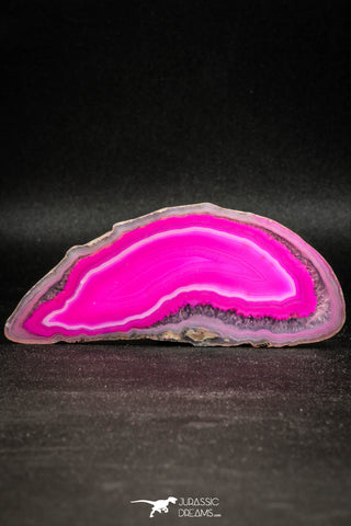 05076 -  Extremely Beautiful 3.90 Inch Brazilian Agate Slice (Chalcedony Geode Section)